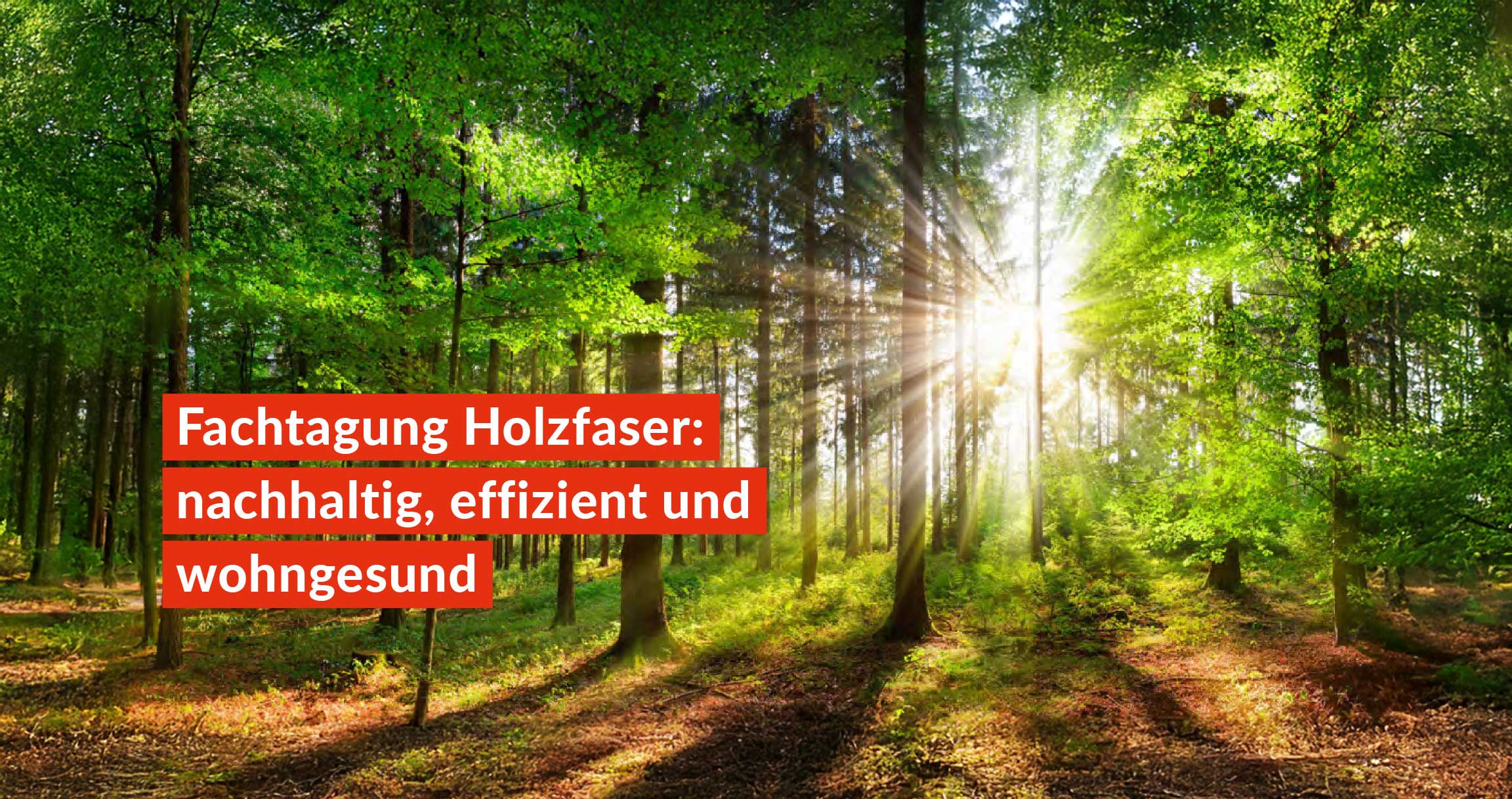 Fachtagung Holzfaser